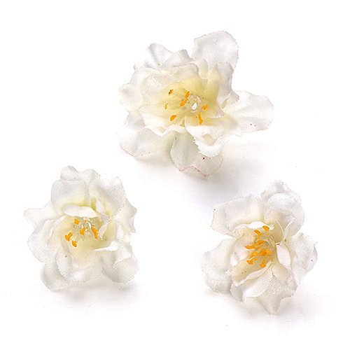 G&uuml;termann / KnorrPrandell 6529790 - Bl&uuml;ten 2,5cm creme, 36 St&uuml;ck/Dose