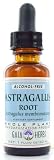 Astragalus Root Extract (alcohol-free) [1 Fluid Ounce] Gaia Herbs