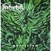 Martyrium