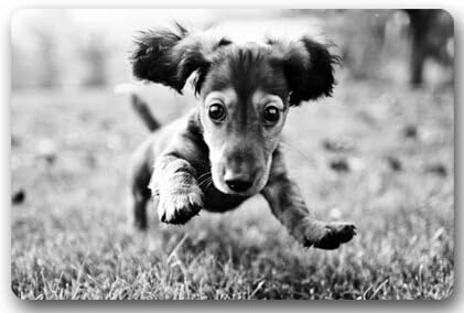 Cute Dachshund Dog baby Door Mats Cover Non-Slip Machine Washable Outdoor Indoor Bathroom Kitchen Decor Rug Mat Welcome Doormat - 23.6"(L) x 15.7"(W), 3/16" Thickness
