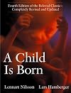 A Child Is Born