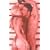 Degrees of Desire (X Libris)