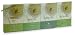 4 Box Green Tea Gift Set