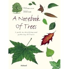A Notebook of Trees: A Guide to Identifying and Gathering 35 Leaves