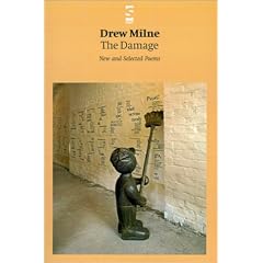 The Damage: New and Selected Poems (Salt Modern Poets)