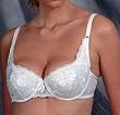 Sheertouch Embroidered Lace Water Bra Style 2500