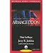 Armageddon: The Cosmic Battle of the Ages (Left Behind, 11)