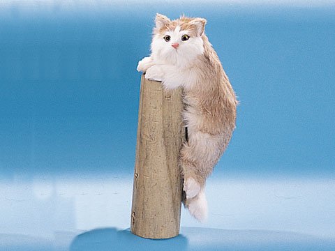 Cat Climbing Collectible Figurine Kitten Statue Decoration Model New