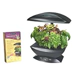 AeroGarden  International Basil Seed Kit