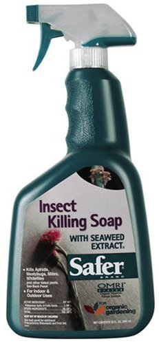 Safer Brand Insect Killing Soap - 32 oz Spray #5110