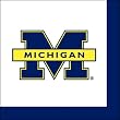 University of Michigan Luncheon Napkins University of Michigan Luncheon Napkins