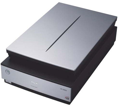 EPSON �J�����I �X�L���i GT-X900