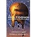 Meltdown: Making Sense of a Culture in Crisis