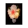 Hummingbird and Hibiscus Tropical Flower Night Light