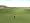 Tiger Woods PGA Tour 2007 (PC DVD)
