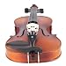 Musical Instruments : Cecilio CVA-500 Handmade Ebony Fitted Viola Outfit - 16 Inches