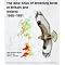 The best books about birding