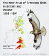 The New Atlas of Breeding Birds in Britain and Ireland: 1988-91 (A Volume in the T & AD POYSER POPULAR BIRD BOOK Series)