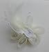 Coolr Fascinator Hair Clip Feather Wedding Headwear Bridal Headpiece for Women (Beige)