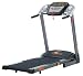 York Fitness York Diamond T302 Treadmill
