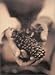 Book Wine, Food and the Arts: Works Gathered by the American Institute of Wine and Food (Volume 1)