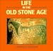 Life in the Old Stone Age (Cambridge Introduction to World History)
