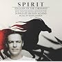 Spirit: Stallion Of The Cimarron