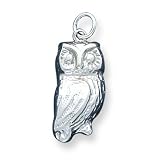 Sterling Silver Owl Charm with 20 inch Sterling Silver Chain