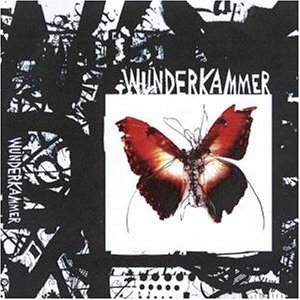 Wunderkammer - Today I Cannot Hear Music - Zortam Music