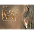 Bruder Wolf: Das Vergessene Versprechen