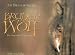 Image of Bruder Wolf: Das Vergessene Versprechen