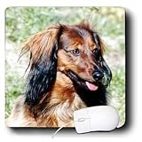 Dogs Dachshund - LONGHAIR Dachshund - Mouse Pads