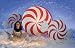 Giant Peppermint Candies