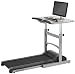 LifeSpan TR1200-DT Treadmill Desk (2013 Model)