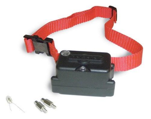 Petsafe PRF-275-19 In-Ground Super Receiver