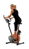Marcy Upright Bike