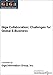 Book Giga Collaboration: Challenges for Global E-Business