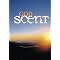 Devotional Readings
