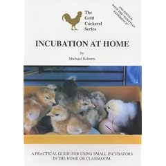 Incubation at Home (Gold Cockerel)