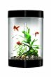 biUbe Aquarium with Halogen Light, Black, 9 Gallons