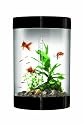 biUbe with Halogen Light, Black, 9 Gallons