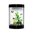 Biube Aquarium With Halogen Light, Black, 9 Gallons