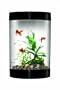 biUbe Aquarium with Halogen Light, Black, 9 Gallons