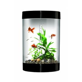 biUbe with Halogen Light, Black, 9 Gallons