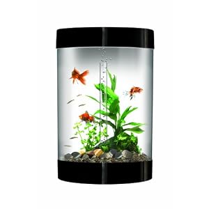 biUbe Aquarium with Halogen Light, Black, 9 Gallons