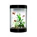 biUbe Aquarium with Halogen Light, Black, 9 Gallons