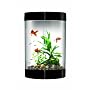 biUbe Aquarium with Halogen Light, Black, 9 Gallons