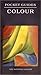 Colour: National Gallery Pocket Guide (National Gallery Pocket Guides)