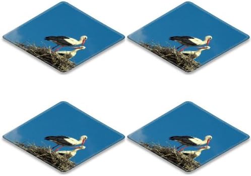 Stork Marabou Crane Sky Birds Square Coaster (4 Piece) Set Fabric Rubber 5 Inch Size Luxlady Coaster Cup Mug Can Water Bottle Drink Coasters Stain Resistance Collector Kit Kitchen Table Top Desk