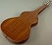 NEW GOLD TONE HAWAIIAN WEISSENBORN STEEL 6-STRING ACOUSTIC LAP DOBRO GUITAR image 2